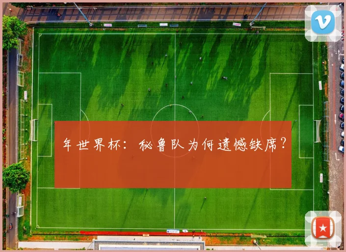 年世界杯：秘鲁队为何遗憾缺席？