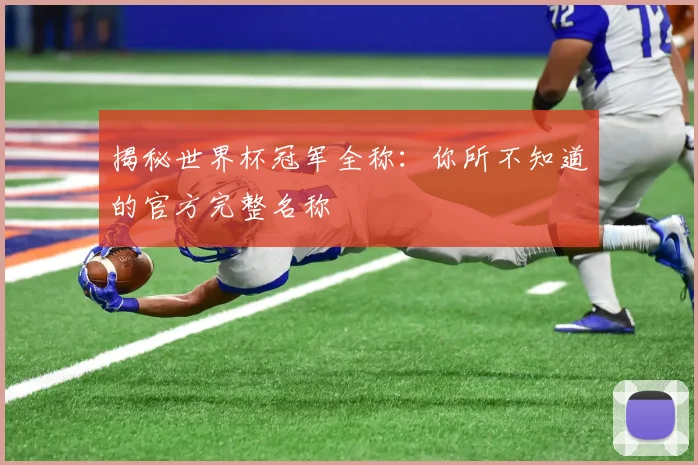 揭秘世界杯冠军全称:你所不知道的官方完整名称