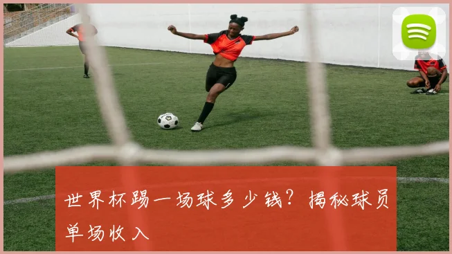 世界杯踢一场球多少钱？揭秘球员单场收入