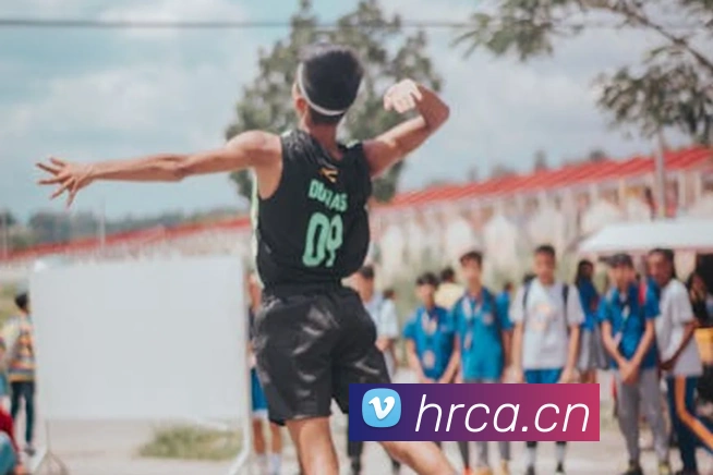 App Interface Preview